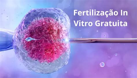 fertilização in vitro gratuita